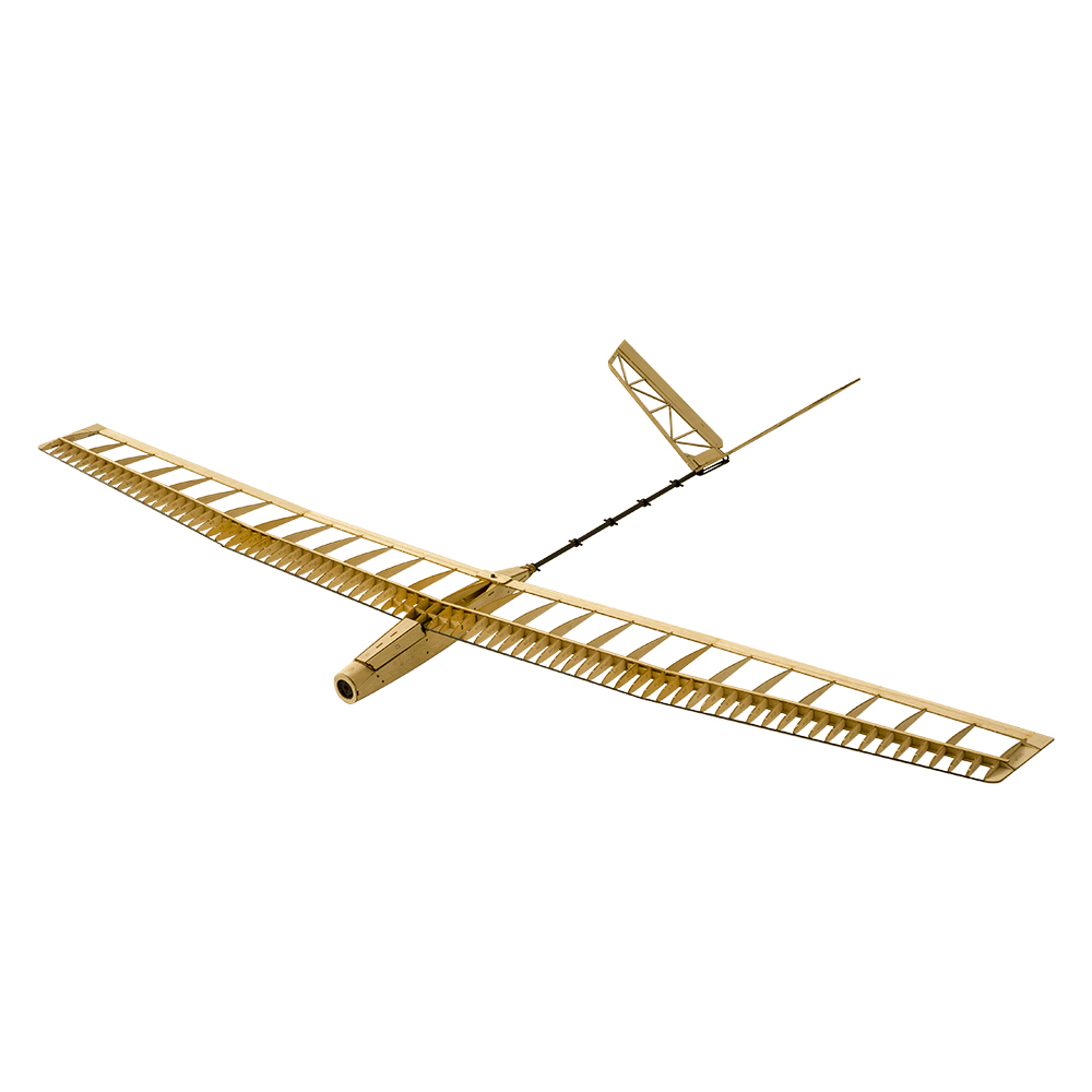 Rc Wing Glider - DW Hobby RC Glider Aircraft U-ZI