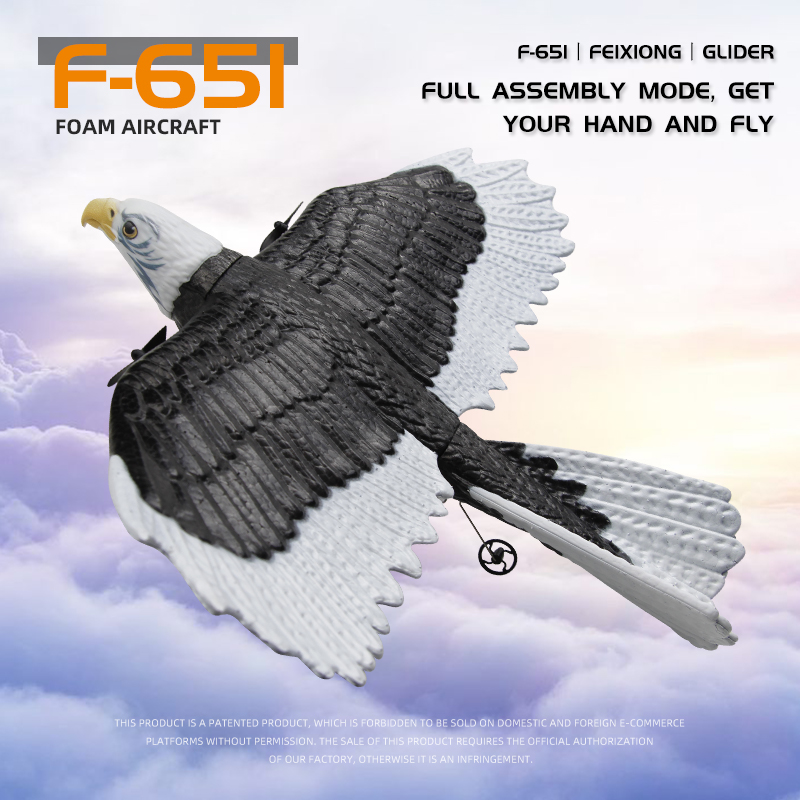 JIKEFUN FX-651 RC Glider 2.4G  – Rc Wing Glider Bewertung und Preis