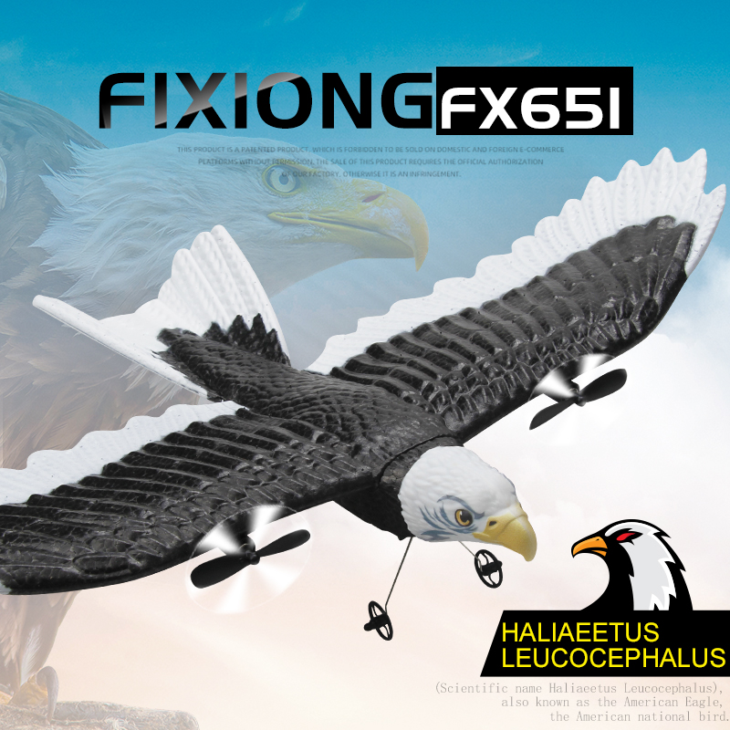 JIKEFUN FX-651 RC Glider 2.4G  – Rc Wing Glider Bewertung und Preis