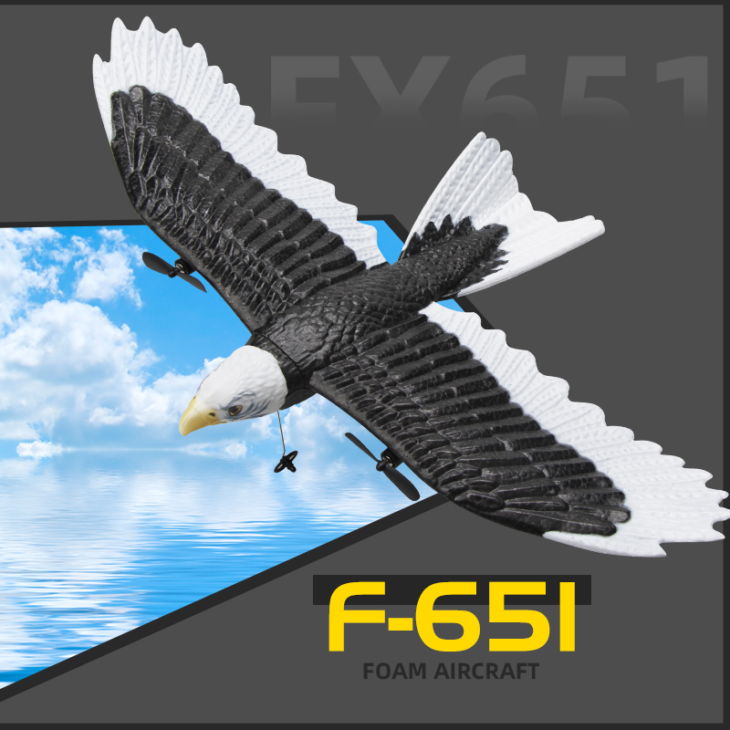 JIKEFUN FX-651 RC Glider 2.4G  – Rc Wing Glider Bewertung und Preis